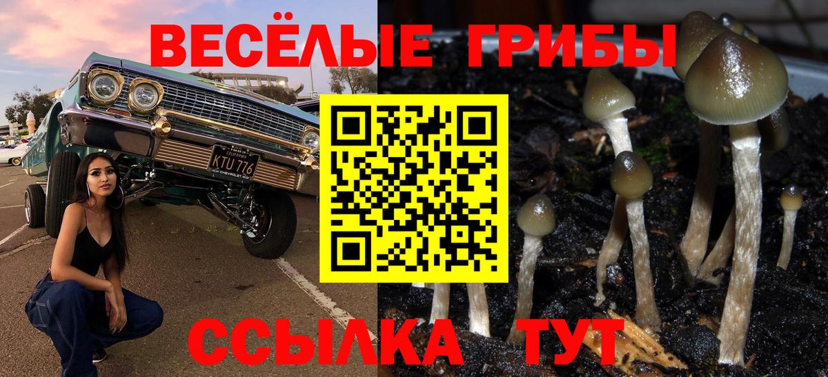 Меф кристаллы  ЭКСТАЗИ  Вход с VPN  Cocaine  Марихуана  Гашиш  Бор  Канабис 